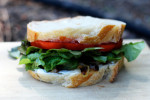 Caramelized Onion and Tomato Sandwich