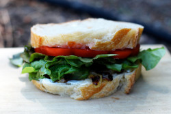 Caramelized Onion and Tomato Sandwich