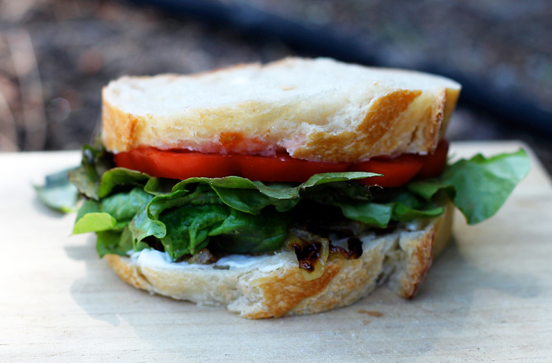 Caramelized Onion and Tomato Sandwich