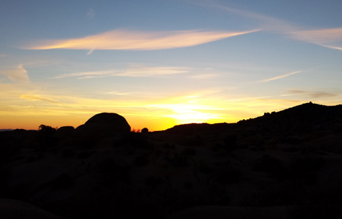 Joshua Tree Sunrise