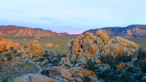 joshua-tree-hidden-valley-sunset