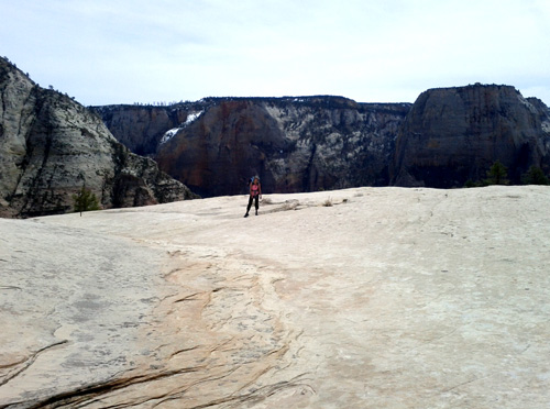 zion-west-rim-trail