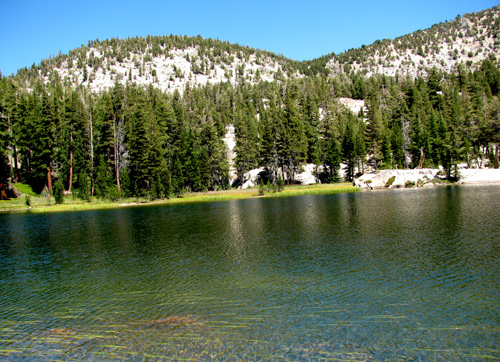 trout-tacos-grant-lake