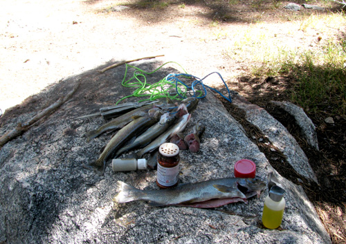 trout-tacos-prep