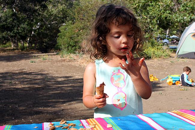 eating-campfire-cone