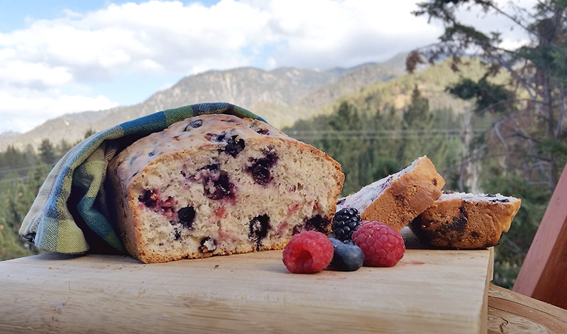 Mountain Berry Bread Dirty Gourmet