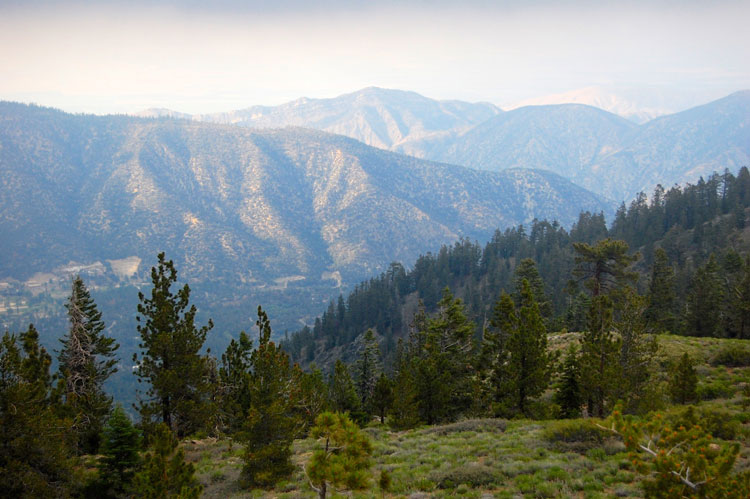 pine-mtn-club-sawmill-peak-view