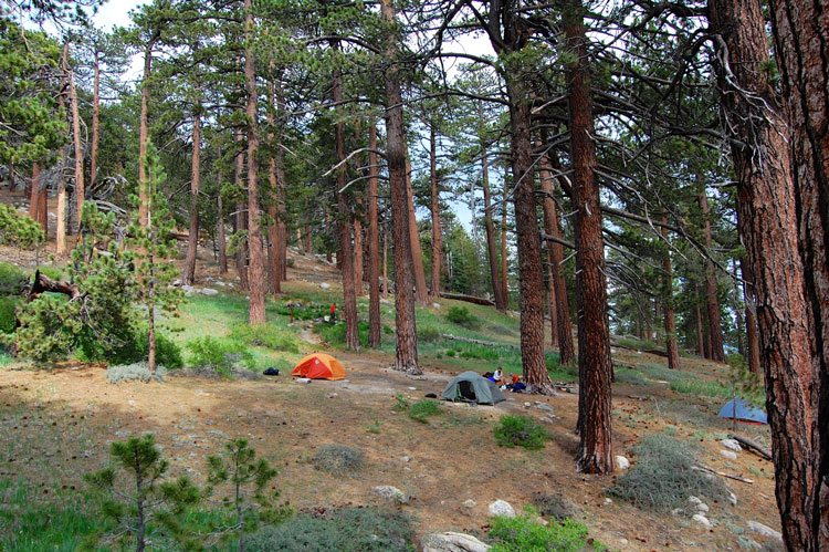 sheep-camp-backcountry-mt-pinos