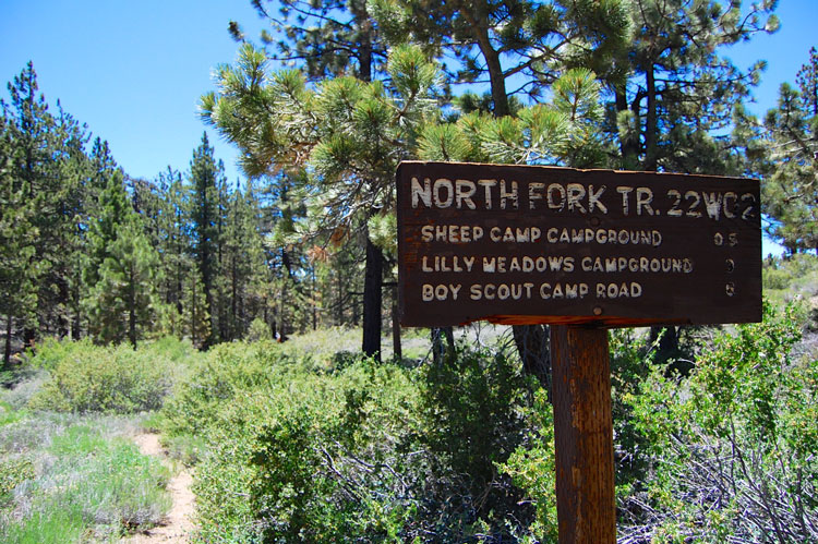 mt-pinos-sheep-camp