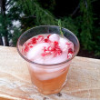 Kombucha Pomegranate Cocktail